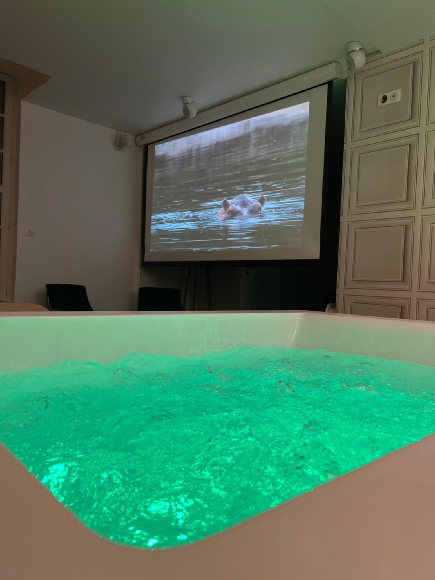 Appartement Avec Jacuzzi Sauna & Home Cinema - Nid D'앙제 외부 사진
